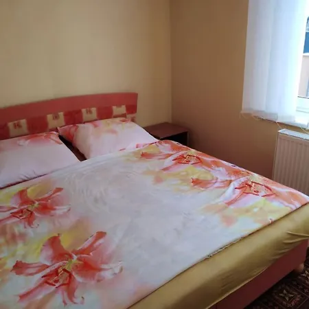 Ubytovanie Aneta Holiday home *