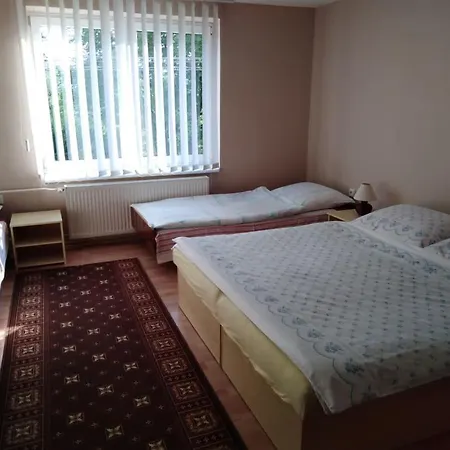 Ubytovanie Aneta Holiday home *